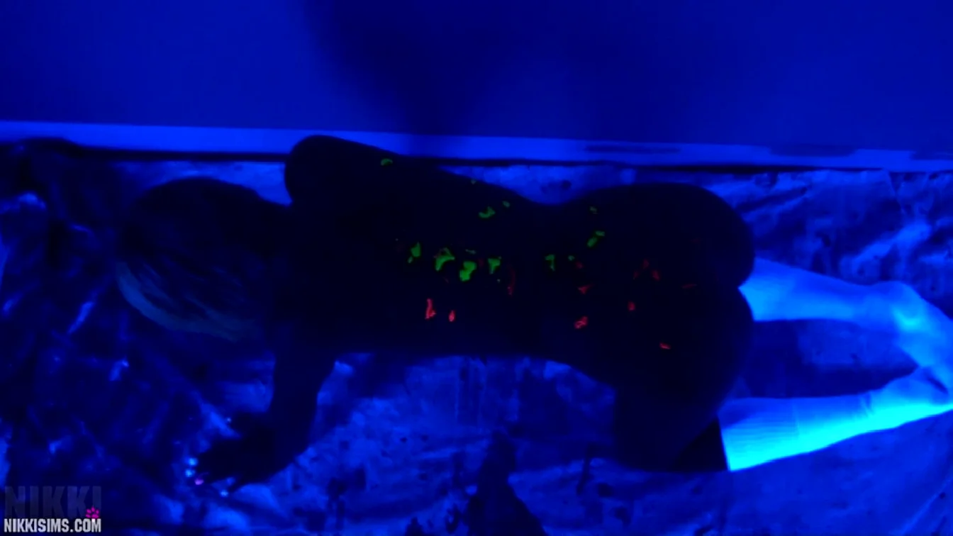 Preview of NikkiSims Black Light Painting Full XXX